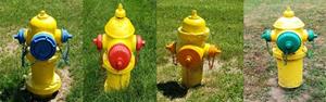 Fire Hydrant Colors